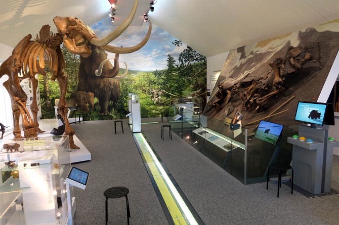 Bilderserien und Videos ergänzen die Ausstellung